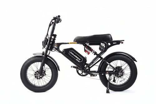 Dual motor E-bike 3600W 30 AH