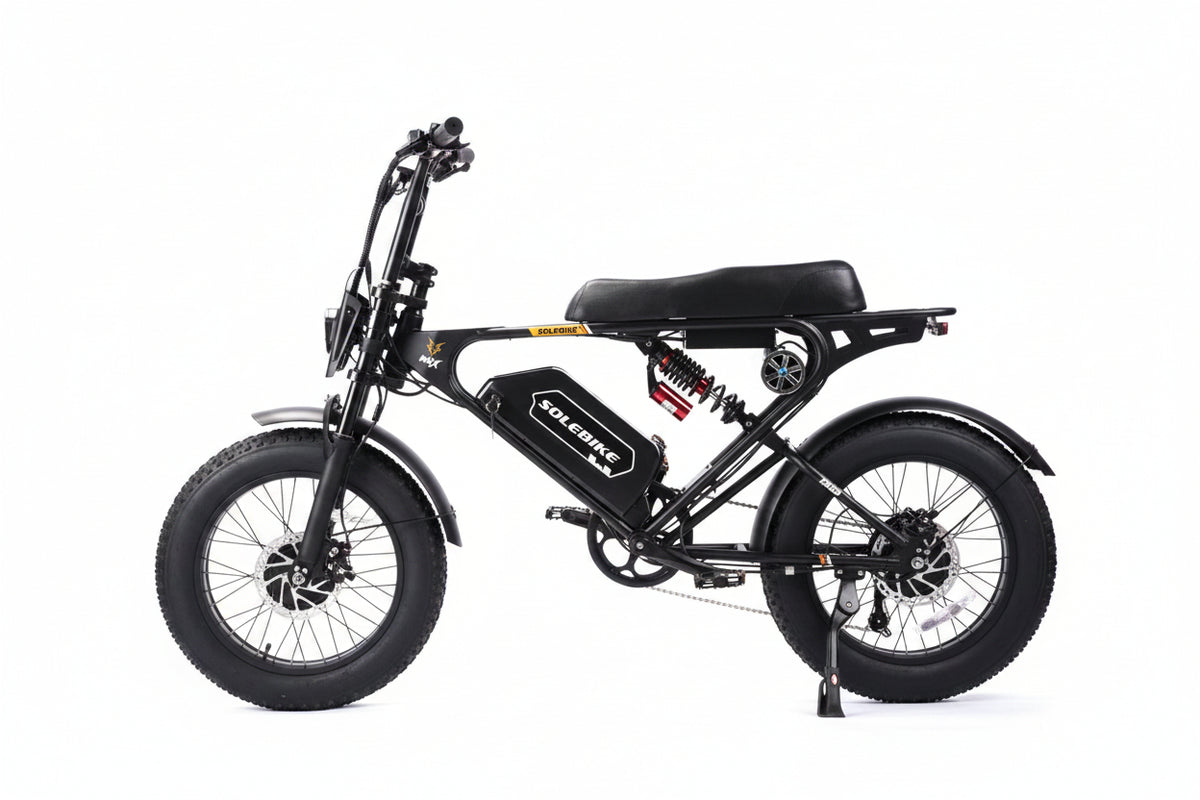 Dual motor E-bike 3600W 30 AH