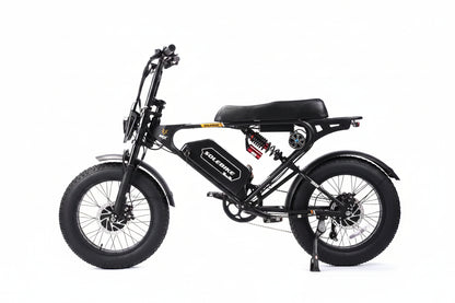 Dual motor E-bike 3600W 30 AH 